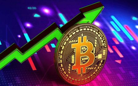 Pemilik Bitcoin Meningkat Pesat, Pertanda BTC Bullish?