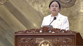 Puan Supports Social Media Ban for Children Under 16: Currently Freedom is Too Kebablasan