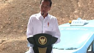 Jokowi Calls Prabowo Will Downstream Agriculture To Food