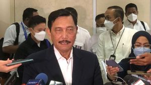 Luhut Lagi-lagi Singgung OTT di Depan Pimpinan KPK: Kampungan, Memang Kampungan