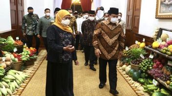 Tentang Nanas PK-1 yang Dikupas Gubernur Khofifah dan Diberi Khusus ke Prabowo Subianto