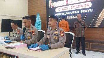 Buron Penyelundupan Penyu di Jembrana Ditangap