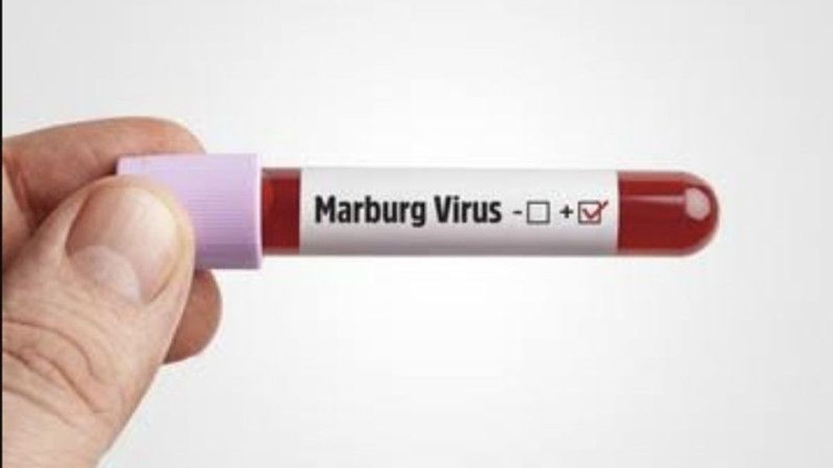 マールブルグウイルスの治療法とワクチンはありません、保健省は人々に警戒するように思い出させます