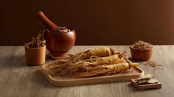 an, ce qui fonctionne le ginseng, le principal ingrédient des produits coréens de soins de la peau dans la réparation de la peau