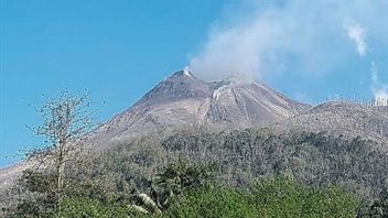 Volcanic Ash Of Mount Lewotobi Mereda, Ministry Of Transportation: Flight Services Back To Normal