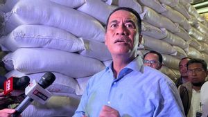 Mentan Amran Sebut Stok Beras Tembus 4,6 Juta Ton, Kedelai Naik Akan Dibahas dengan Importir