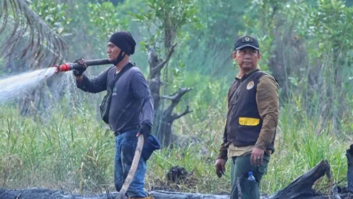 Terjunkan Tim Forensik, Polisi Cari Penyebab 10 Hektare Hutan Giam Siak Kecil Riau Kebakaran