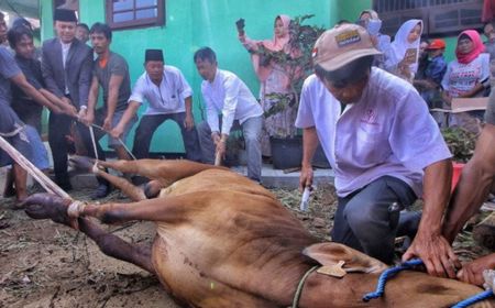 Jelang Iduladha: Larangan Potong Hewan dan Kebijakan Lain di DKI Jakarta