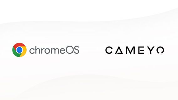 Google Acquires Cameyo To Present Windows App To ChromeOS