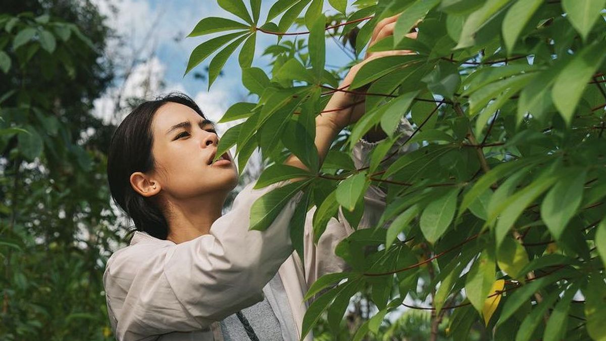 Partageant l’expérience de forage, le portrait d’origine d’un incroyable Maudy Ayunda passe sur des produits alimentaires dans la forêt de Kalimantan