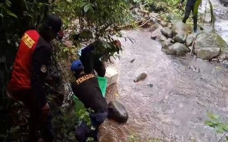 Damkarmat Pekalongan Melepasliarkan 10 Ular Sanca ke Hutan Lindung