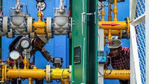 PHE Temukan Sumber Daya Gas Bumi 1,8 TCF di Sulawesi Tengah