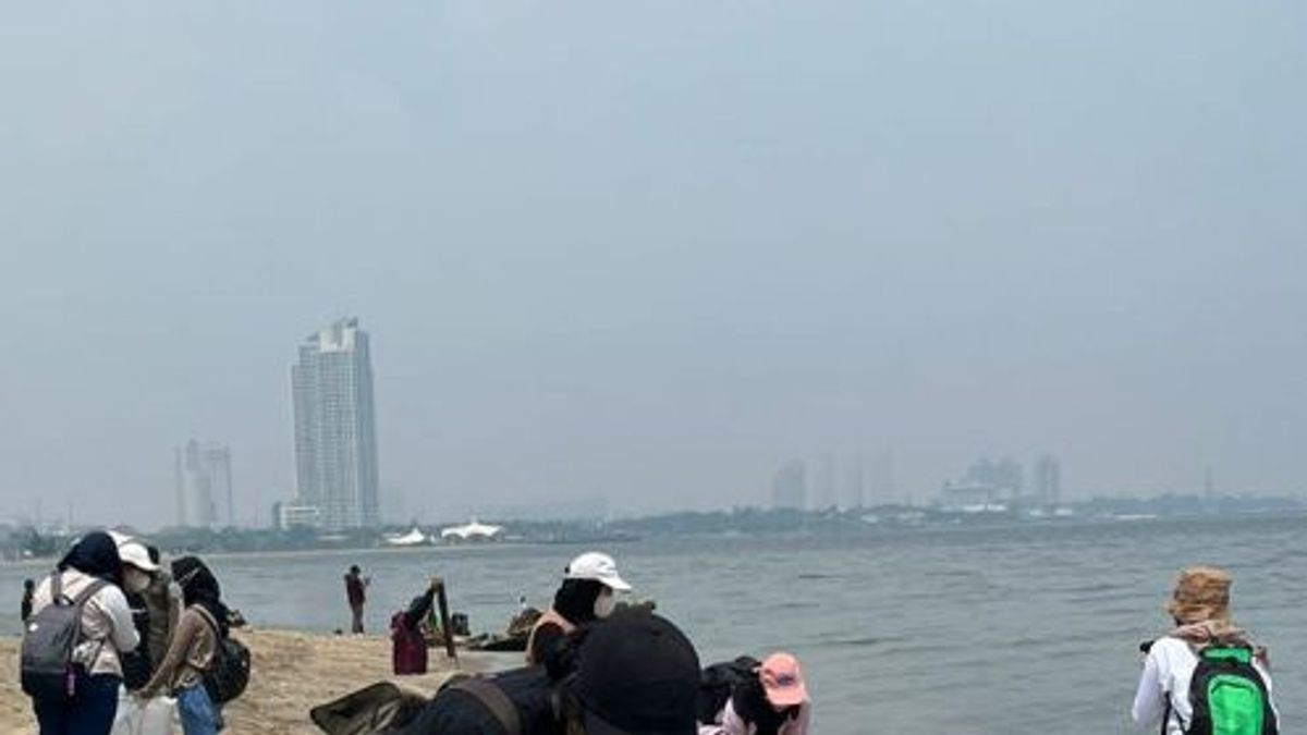 Returning To Rasa, The Action Of The UI BEM This Time Gathering Waste On The Coast Of North Jakarta