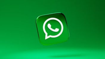 WhatsApp présente la fonctionnalité Face Unconfinement pour les Pixels 8 et 8 Pro