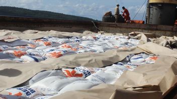 5,000 Tons Of Imported Rice From Vietnam Arriving In Kupang NTT