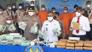 BNN Aceh Musnahkan Ganja dan Sabu Senilai Lebih dari Rp31 Miliar