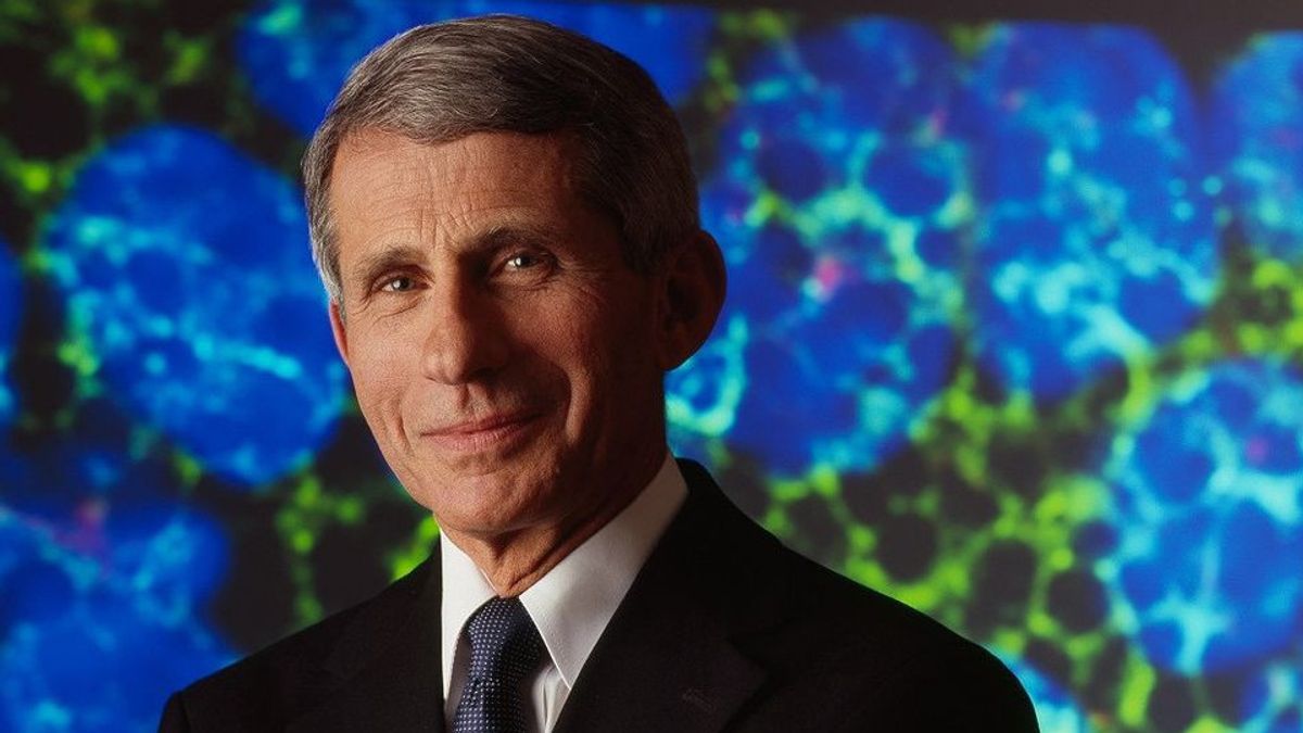 Good News, Infectious Disease Expert Anthony Fauci Believes Omicron Is No Worse Than Delta