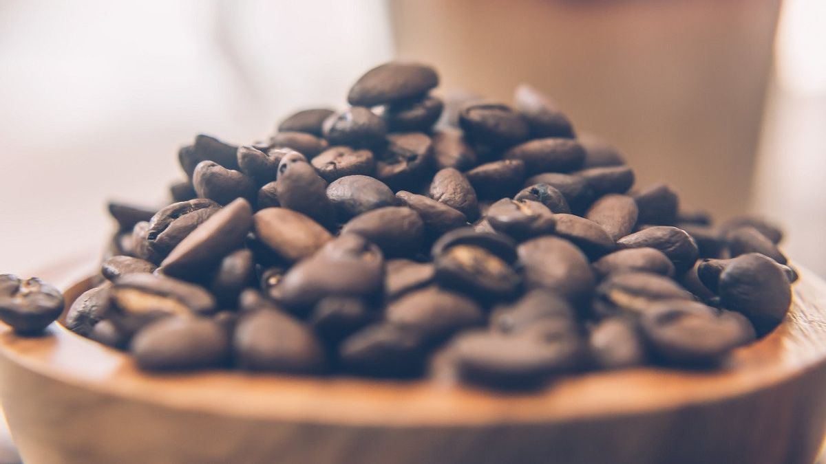 長い間消えた、コフェア・ステノフィラはコーヒー農家の新しい希望になるかもしれない
