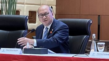 Realisasi Investasi Hilirisasi Capai Rp584 Triliun, Rosan: Sudah Mulai Berjalan Baik