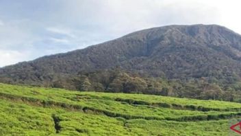 Erupsi dengan Lontaran Abu 2.000 Meter, PVMBG Imbau Warga Jauhi Kawah Gunung Dempo Sumsel 