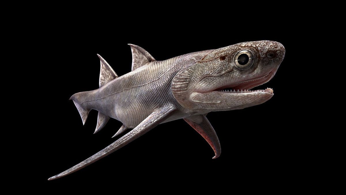 可追溯到4亿年前的中国鱼类化石揭示了下颌起源的奥秘