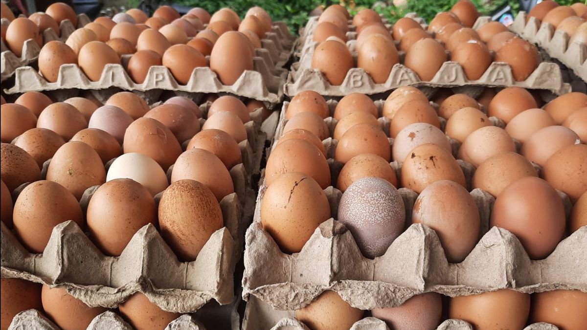 急騰したBPSは純血種の鶏の卵の価格が上昇圧力を低下させ始めたと呼んでいる