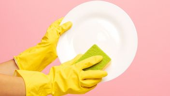 Can You Wash Your Dishes With The Deterjen? Let's Find Out The Answer Here