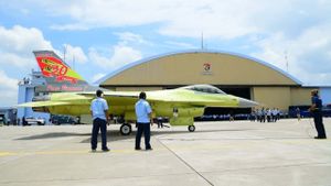TNI AU Sukses <i>Upgrade</i> Pesawat Tempur F-16 Jadi Lebih Canggih
