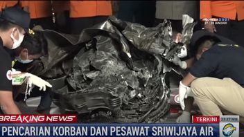 Sriwijaya Air Turbine SJ-182 Trouvé, Directement Remis à KNKT