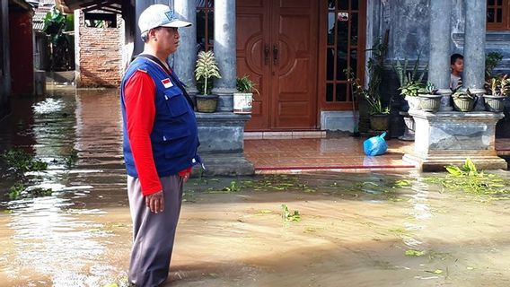 Extreme Weather Potential, Cilacap BPBD Asked UPT To Monitor Large Trees