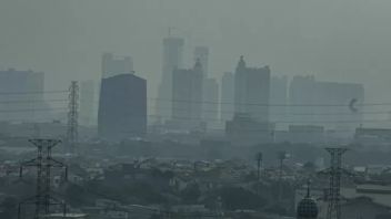 Air Pollution And Carbon Emissions, AIPI Encourages Private Involvement In Research