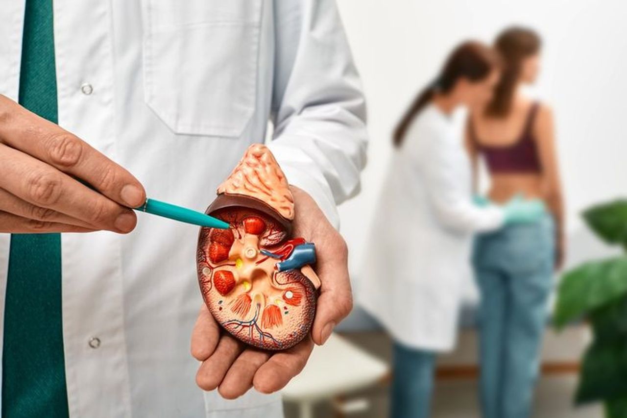 急性腎障害の主な原因はすぐに発見されなければなりません、さらなる研究が必要です