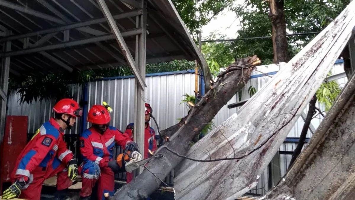 Tumbang Tree Hits A Canteen In West Jakarta