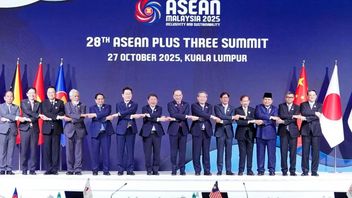 日本外相强调加强东盟+三级合作