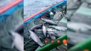 Viral Video Nelayan Tangkap Lumba-lumba, Polres Pacitan Sebut Ada Unsur Ketidaksengajaan