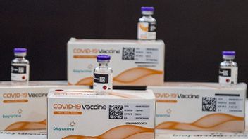 Vaccine Supply For Gotong Royong Vaccination Program, Bio Farma: 1 Million Doses Will Arrive In June