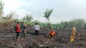 Si Jago Merah Lalap 20 Hektare Lahan Gambut di Muara Enim Sumsel