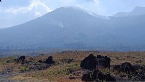 4 Hari Berjibaku, Petugas Gabungan Akhirnya Padamkan Api di Gunung Guntur 