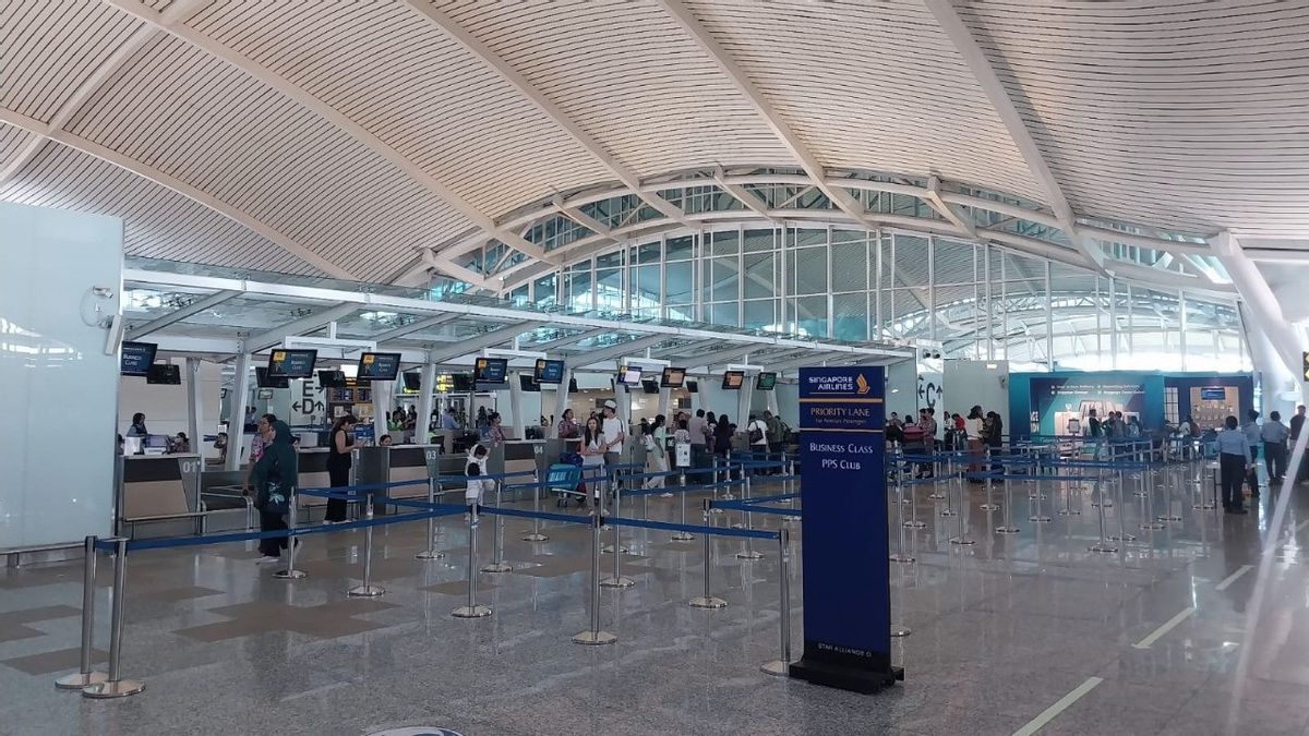 レウォトビ山の噴火によりバリ空港で87便がキャンセルされました