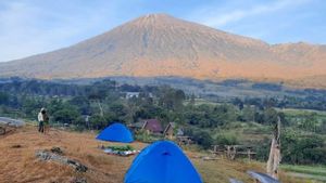 36 Peneliti Gelar Riset di Gunung Rinjani Lombok