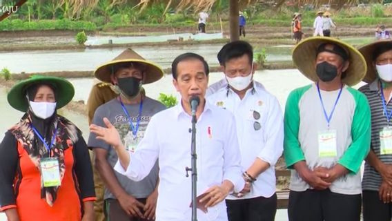 Président Jokowi: L’Indonésie N’a Pas Importé De Riz Du Tout En 2021 Et En Fait, Nos Stocks Sont Toujours Très Bons