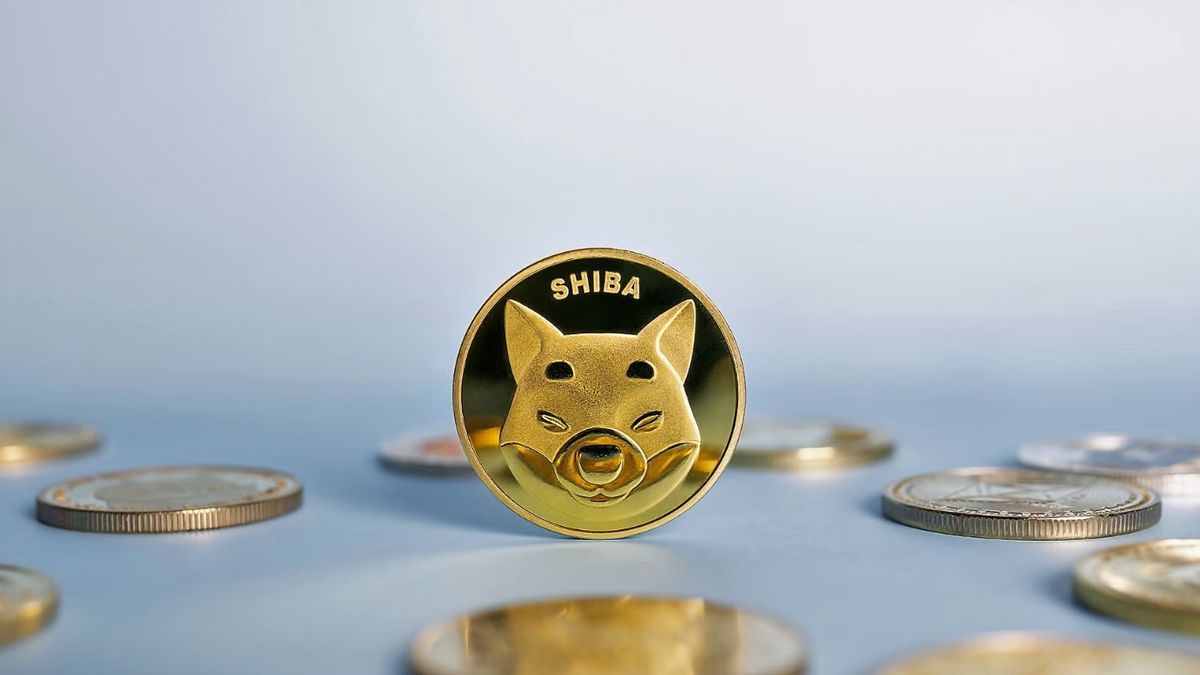 Shiba Inu 交易费用上涨了1,036%,这是原因!