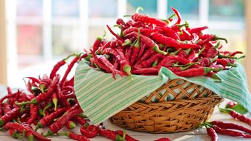 Governor Ganjar's Order To ASN: Chili Prices Are Falling, I Ask Friends To Buy From Farmers
