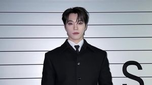 Dino SEVENTEEN Bakal Debut Solo sebagai Picheolin, Siapa?