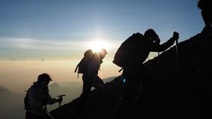 Menhut Evaluasi Total Prosedur Keselamatan Pendakian Gunung