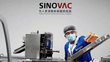 6 Million Bulk Of Sinovac Vaccines Coming Today
