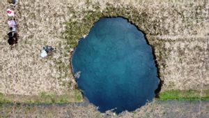 Lubang Ambles Mirip Cenote Muncul di Situjuah, Badan Geologi Soroti Erosi Bawah Tanah