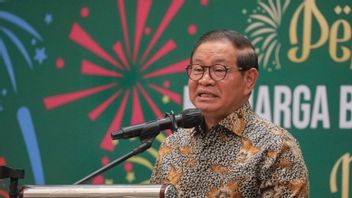 자카르타의 깡패 행위에 대한 PSI의 비판 : 우리 주지사는 얇다. 