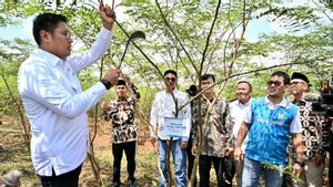 PLN Together With The Ministry Of Agriculture Launch Integrated Agricultural Models To Develop Biomass Cofiring