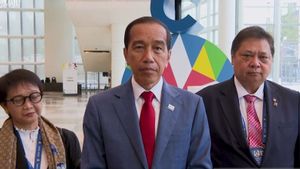 Jokowi Yakin Investor Luar Negeri Segera Masuk ke IKN
